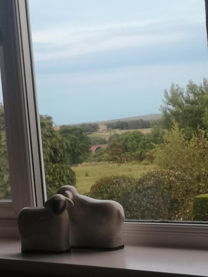 Greystones Guesthouse ويتبي المظهر الخارجي الصورة